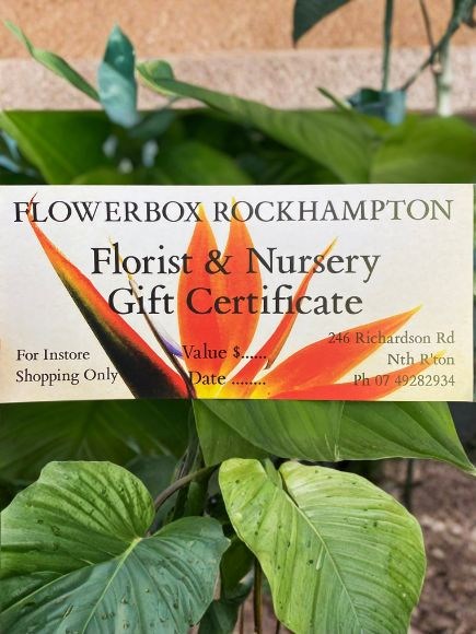 gift Voucher